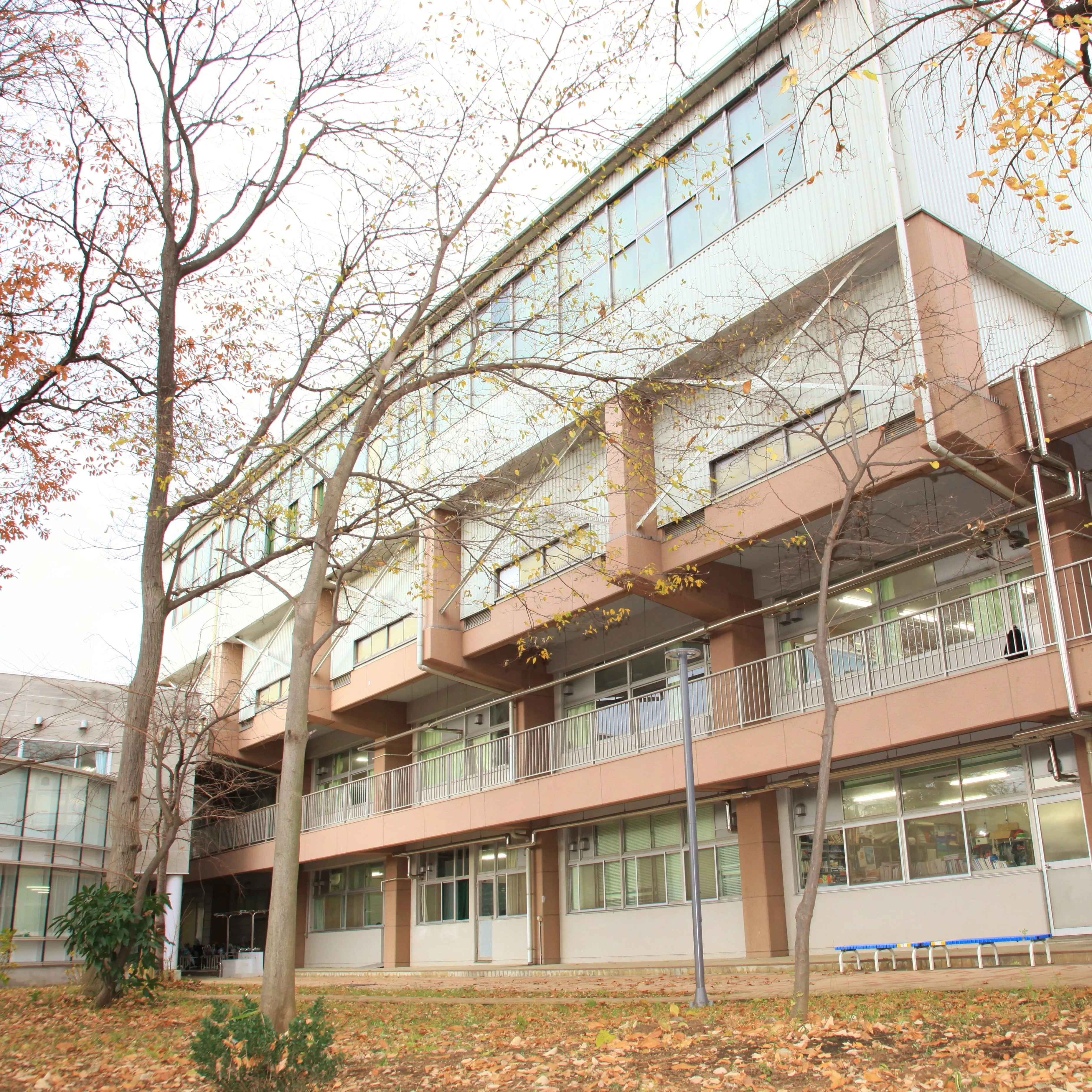 東京学芸大学附属国際中等教育学校